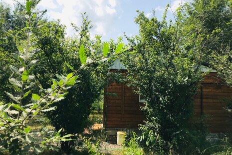 کلبه چوبی دوخواب در روستای درخانه ماسال