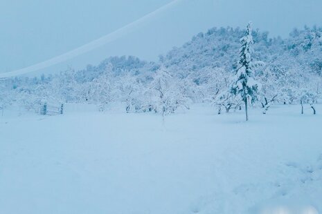 ویلاتکخواب زیر بام سبزشاندرمن