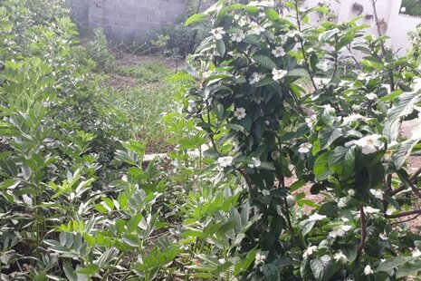 خانه ویلایی دو خواب شیک و نوساز در ماسال