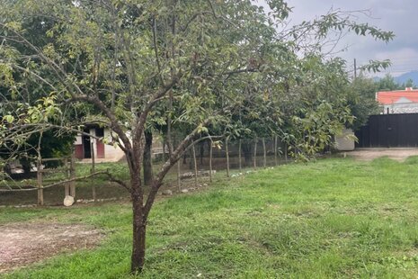 ویلا مبله تک خواب پدیده در ماسال