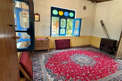 سوئیت جنگلی کاهگلی در کیاده ساری