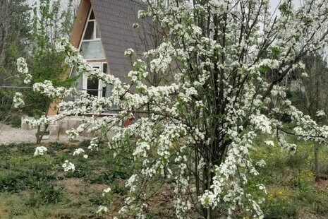 کلبه سوئیسی تک خواب در سوادکوه