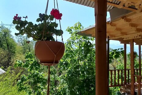 سوئیت نارنج در اقامتگاه بومگردی شیرگاه