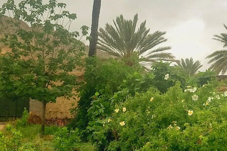 اتاق دالانی در بومگردی در جهرم