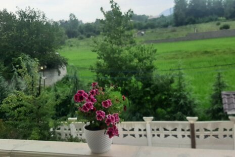 واحد تکخواب در طبقه همکف ویلا گلستان 6 در لاهیجان