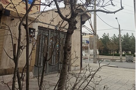 آپارتمان مبله رازی در مشهد