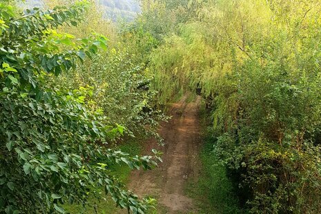 باغ ویلا (کوه) تک خواب مبله در رشت