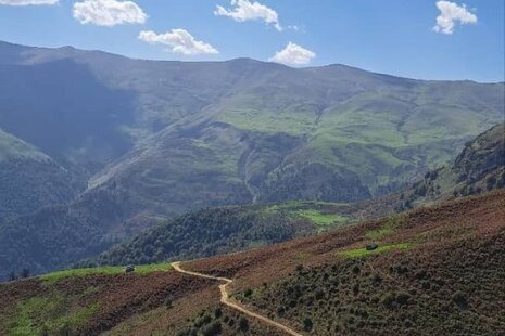 کلبه چوبی تک خواب در ماسال