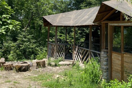 کلبه چوبی تک خواب ونوشه صحرا در شیرگاه