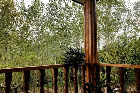 کلبه چوبی تکخواب محمد در ماسال