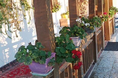 ویلا باغ مبله دو خواب بوستان فدک در رودبار