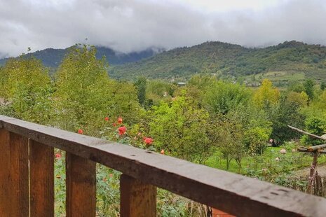 کلبه چوبی یک خواب در ماسال