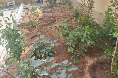 ویلا مبله تکخواب در ساوه