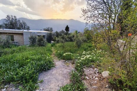 ویلا باغ تکخواب مبله در رودبار