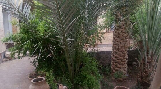 اتاق دراقامتگاه کویری در اصفهان