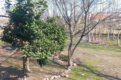 ویلا تکخواب مبله 30 متری در رشت