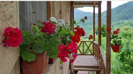 خانه چوبی اساس 3 سوادکوه