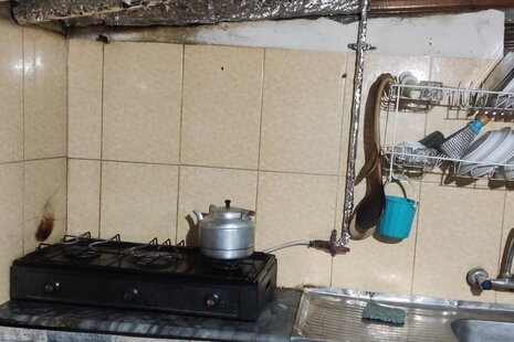 سوئیت باغ جنگلی در بابل
