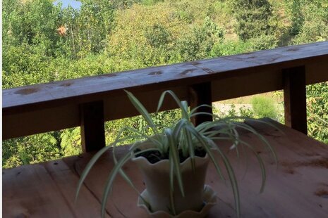 کلبه دوبلکس در بابل