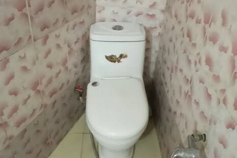 آپارتمان تکخواب مبله آذر در دولت آباد (1)