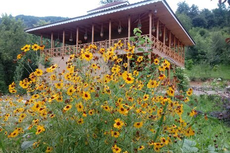 ویلا روستایی سه خواب در فومن