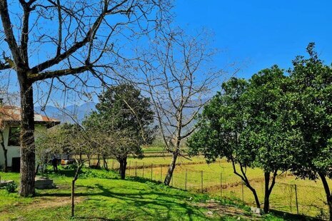 ویلا مبله تک خواب در ماسال