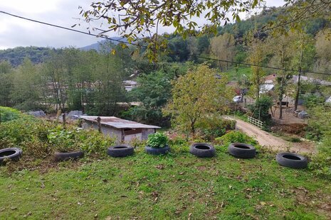 ویلا جنگلی تک خواب در ماسال