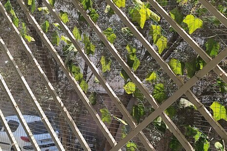 آپارتمان مبله تکخواب در میدان سبلان