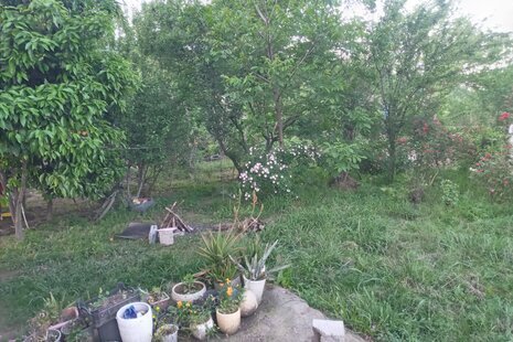 ویلا دوبلکس مبله دوخواب امیر عباس در ماسال