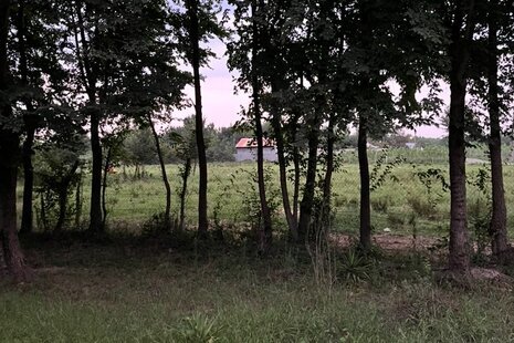 ویلا مبله تکخواب وطن در شفت