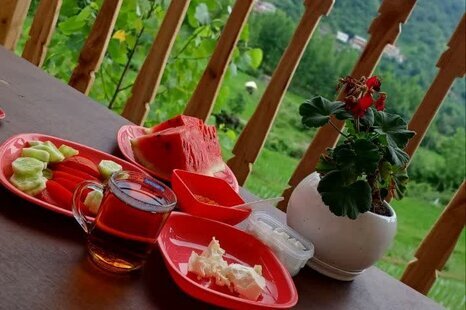 ویلا جنگلی تکخواب در شیرگاه