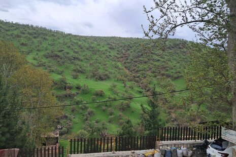 سوئیت ویلا مبله طلوع بیشه در خرم آباد