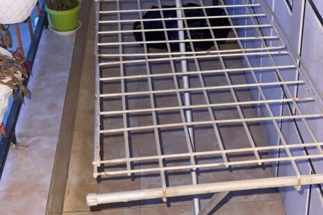 آپارتمان مبله دو خواب در نور