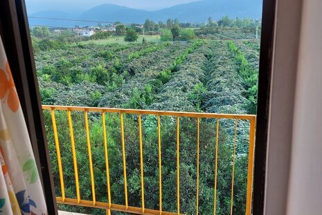 ویلا تریپلکس استخردار سه خواب در شیرود