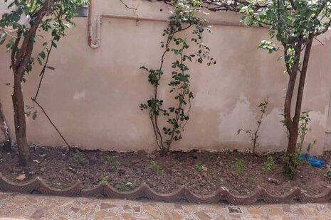 واحد آرامش طبقه اول در کوچصفهان