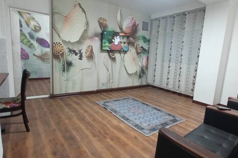 آپارتمان مبله تکخواب پروین 2 در شهر ری