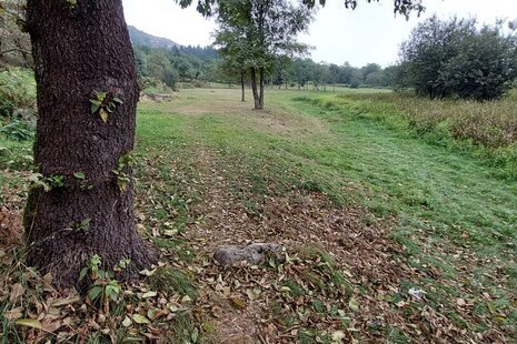 واحد مبله دوخواب در طبقه همکف در رامسر