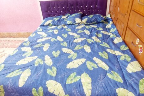 آپارتمان مبله تکخواب کاکتوس در شوشتر