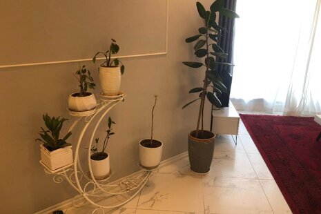 آپارتمان تکخواب مبله فروردین ستاره در  کیش