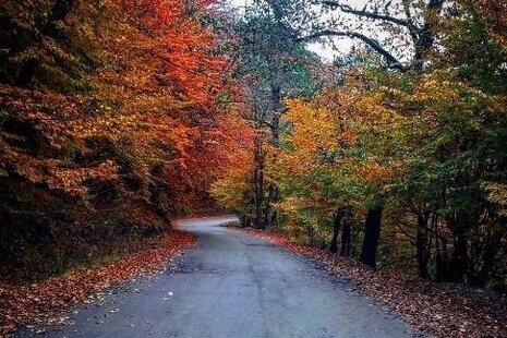 ویلای مبله دو خواب آبی در پره سر