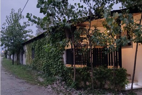 سوئیت جنگلی دنج در متل قو