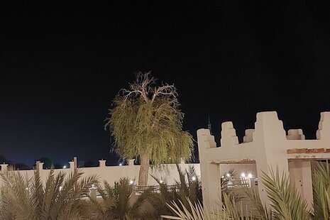 اتاق 15 متری 8 در اقامتگاه بومگردی قشم