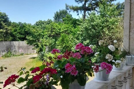 ویلا مبله دوخواب عماد در ماسال