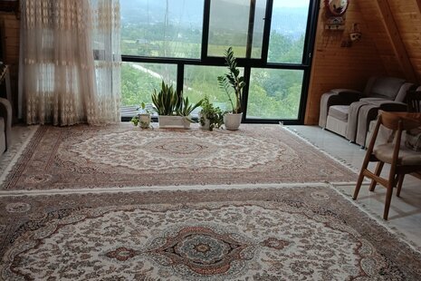 کلبه سوئیسی دوبلکس تکخواب باغ معروف در شیرگاه