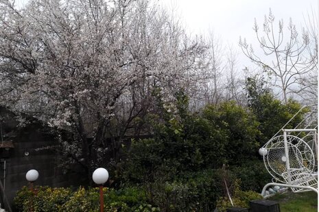 ویلا یک خواب مبله در بندر انزلی