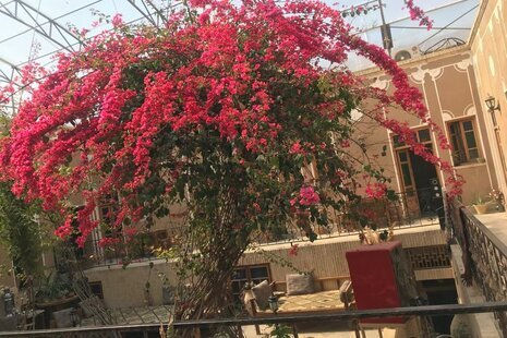 اتاق 4 تخت بالا در اقامتگاه بوم گردی در یزد