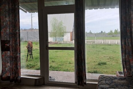 کلبه شماره 1 در مجموعه تفریحی گردشگری جنگل کنار