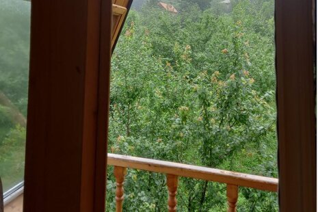 کلبه تک خواب مبله نیما در سیاهکل