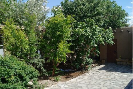 اتاق 5 نفره در اقامتگاه بومگردی روستای فرومد شاهرود