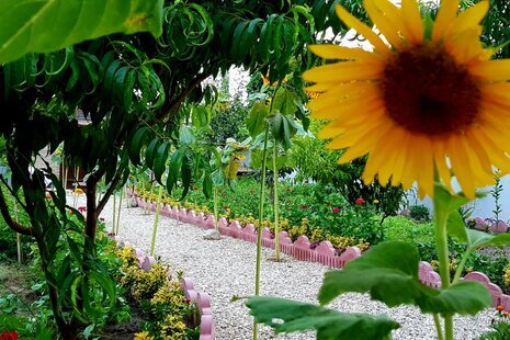 ویلا تک خواب سینوا در روستای شموشک سفلی گرگان